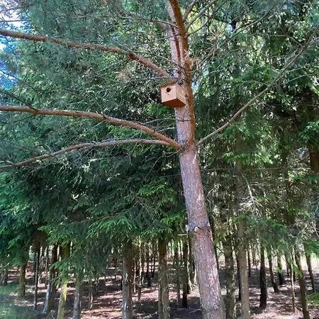 Mazurskie Energie Dom Ekologiczny Caloroczny דירה